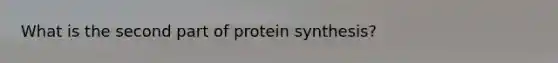 What is the second part of protein synthesis?