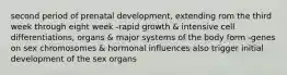 second period of prenatal development, extending rom the third week through eight week -rapid growth & intensive cell differentiations, organs & major systems of the body form -genes on sex chromosomes & hormonal influences also trigger initial development of the sex organs