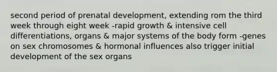 second period of prenatal development, extending rom the third week through eight week -rapid growth & intensive cell differentiations, organs & major systems of the body form -genes on sex chromosomes & hormonal influences also trigger initial development of the sex organs