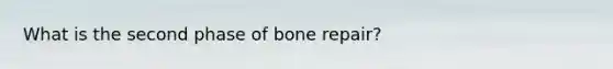 What is the second phase of bone repair?