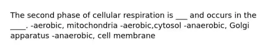 The second phase of <a href='https://www.questionai.com/knowledge/k1IqNYBAJw-cellular-respiration' class='anchor-knowledge'>cellular respiration</a> is ___ and occurs in the ____. -aerobic, mitochondria -aerobic,cytosol -anaerobic, Golgi apparatus -anaerobic, cell membrane