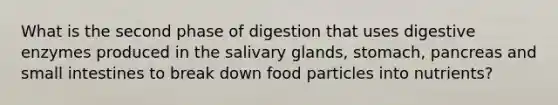 What is the second phase of digestion that uses digestive enzymes produced in the salivary glands, stomach, pancreas and small intestines to break down food particles into nutrients?