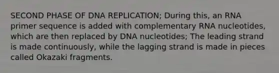 SECOND PHASE OF DNA REPLICATION; During this, an RNA primer sequence is added with complementary RNA nucleotides, which are then replaced by DNA nucleotides; The leading strand is made continuously, while the lagging strand is made in pieces called Okazaki fragments.