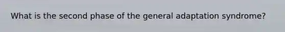 What is the second phase of the general adaptation syndrome?