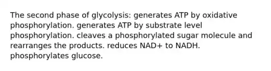 The second phase of glycolysis: generates ATP by oxidative phosphorylation. generates ATP by substrate level phosphorylation. cleaves a phosphorylated sugar molecule and rearranges the products. reduces NAD+ to NADH. phosphorylates glucose.