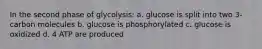 In the second phase of glycolysis: a. glucose is split into two 3-carbon molecules b. glucose is phosphorylated c. glucose is oxidized d. 4 ATP are produced