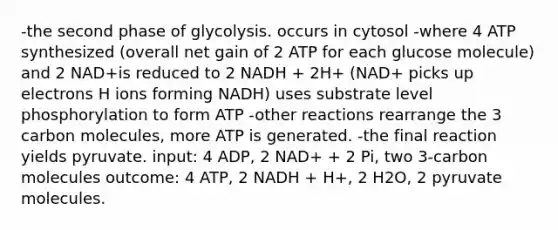 -the second phase of glycolysis. occurs in cytosol -where 4 ATP synthesized (overall net gain of 2 ATP for each glucose molecule) and 2 NAD+is reduced to 2 NADH + 2H+ (NAD+ picks up electrons H ions forming NADH) uses substrate level phosphorylation to form ATP -other reactions rearrange the 3 carbon molecules, more ATP is generated. -the final reaction yields pyruvate. input: 4 ADP, 2 NAD+ + 2 Pi, two 3-carbon molecules outcome: 4 ATP, 2 NADH + H+, 2 H2O, 2 pyruvate molecules.