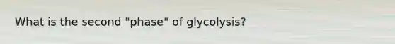 What is the second "phase" of glycolysis?