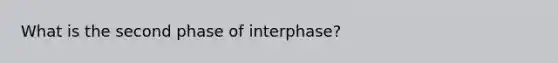 What is the second phase of interphase?