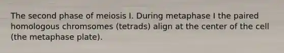 The second phase of meiosis I. During metaphase I the paired homologous chromsomes (tetrads) align at the center of the cell (the metaphase plate).