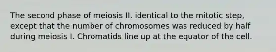 The second phase of meiosis II. identical to the mitotic step, except that the number of chromosomes was reduced by half during meiosis I. Chromatids line up at the equator of the cell.