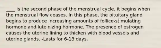 ____ is the second phase of the menstrual cycle, it begins when the menstrual flow ceases. In this phase, the pituitary gland begins to produce increasing amounts of follice-stimulating hormone and luteinizing hormone. The presence of estrogen causes the uterine lining to thicken with blood vessels and uterine glands. -Lasts for 6-13 days.