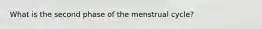 What is the second phase of the menstrual cycle?