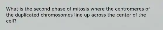 What is the second phase of mitosis where the centromeres of the duplicated chromosomes line up across the center of the cell?