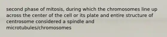 second phase of mitosis, during which the chromosomes line up across the center of the cell or its plate and entire structure of centrosome considered a spindle and microtubules/chromosomes