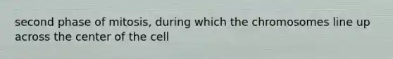 second phase of mitosis, during which the chromosomes line up across the center of the cell