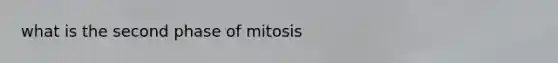 what is the second phase of mitosis