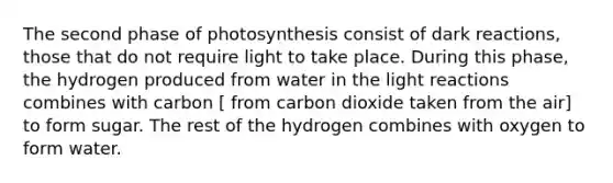 The second phase of photosynthesis consist of dark reactions, those that do not require light to take place. During this phase, the hydrogen produced from water in the light reactions combines with carbon [ from carbon dioxide taken from the air] to form sugar. The rest of the hydrogen combines with oxygen to form water.