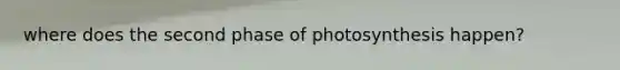 where does the second phase of photosynthesis happen?