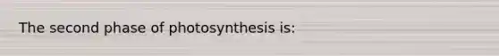 The second phase of photosynthesis is: