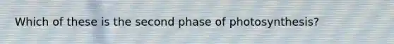 Which of these is the second phase of photosynthesis?