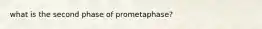 what is the second phase of prometaphase?