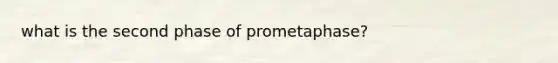 what is the second phase of prometaphase?