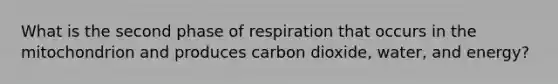 What is the second phase of respiration that occurs in the mitochondrion and produces carbon dioxide, water, and energy?