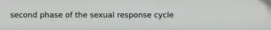 second phase of the sexual response cycle