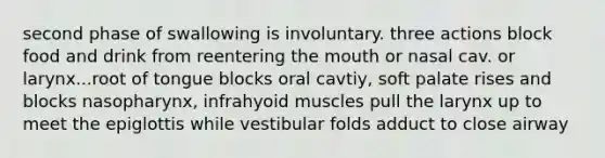 second phase of swallowing is involuntary. three actions block food and drink from reentering the mouth or nasal cav. or larynx...root of tongue blocks oral cavtiy, soft palate rises and blocks nasopharynx, infrahyoid muscles pull the larynx up to meet the epiglottis while vestibular folds adduct to close airway