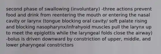 second phase of swallowing (involuntary) -three actions prevent food and drink from reentering the mouth or entering the nasal cavity or larynx (tongue blocking oral cavity/ soft palate rising and blocking nasopharynx/infrahyoid muscles pull the larynx up to meet the epiglottis while the laryngeal folds close the airway) -bolus is driven downward by constriction of upper, middle, and lower pharyngeal constrictors