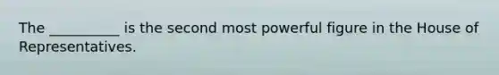 The __________ is the second most powerful figure in the House of Representatives.