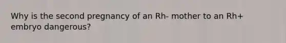 Why is the second pregnancy of an Rh- mother to an Rh+ embryo dangerous?