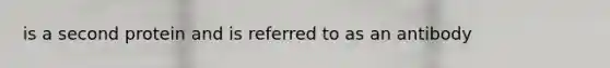 is a second protein and is referred to as an antibody