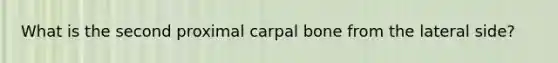 What is the second proximal carpal bone from the lateral side?