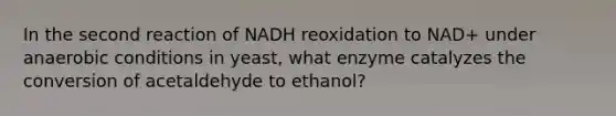 In the second reaction of NADH reoxidation to NAD+ under anaerobic conditions in yeast, what enzyme catalyzes the conversion of acetaldehyde to ethanol?