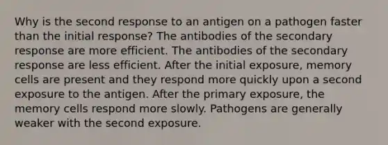 Why is the second response to an antigen on a pathogen faster than the initial response? The antibodies of the secondary response are more efficient. The antibodies of the secondary response are less efficient. After the initial exposure, memory cells are present and they respond more quickly upon a second exposure to the antigen. After the primary exposure, the memory cells respond more slowly. Pathogens are generally weaker with the second exposure.