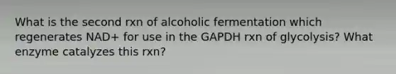 What is the second rxn of alcoholic fermentation which regenerates NAD+ for use in the GAPDH rxn of glycolysis? What enzyme catalyzes this rxn?