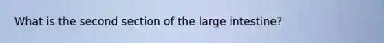 What is the second section of the large intestine?