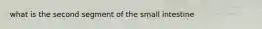 what is the second segment of the small intestine