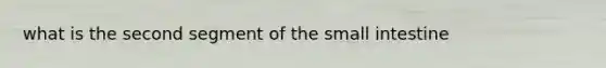 what is the second segment of the small intestine