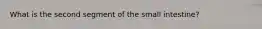 What is the second segment of the small intestine?