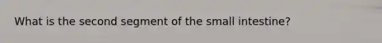 What is the second segment of the small intestine?