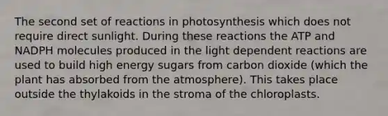 The second set of reactions in photosynthesis which does not require direct sunlight. During these reactions the ATP and NADPH molecules produced in the light dependent reactions are used to build high energy sugars from carbon dioxide (which the plant has absorbed from the atmosphere). This takes place outside the thylakoids in the stroma of the chloroplasts.