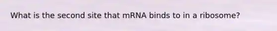 What is the second site that mRNA binds to in a ribosome?