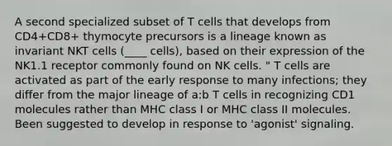 A second specialized subset of T cells that develops from CD4+CD8+ thymocyte precursors is a lineage known as invariant NKT cells (____ cells), based on their expression of the NK1.1 receptor commonly found on NK cells. " T cells are activated as part of the early response to many infections; they differ from the major lineage of a:b T cells in recognizing CD1 molecules rather than MHC class I or MHC class II molecules. Been suggested to develop in response to 'agonist' signaling.