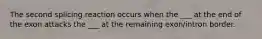 The second splicing reaction occurs when the ___ at the end of the exon attacks the ___ at the remaining exon/intron border.