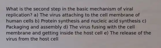 What is the second step in the basic mechanism of viral replication? a) The virus attaching to the cell membrane of human cells b) Protein synthesis and nucleic acid synthesis c) Packaging and assembly d) The virus fusing with the cell membrane and getting inside the host cell e) The release of the virus from the host cell