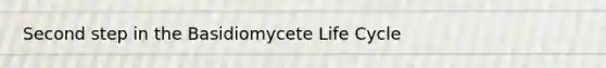 Second step in the Basidiomycete Life Cycle