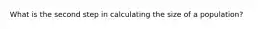 What is the second step in calculating the size of a population?